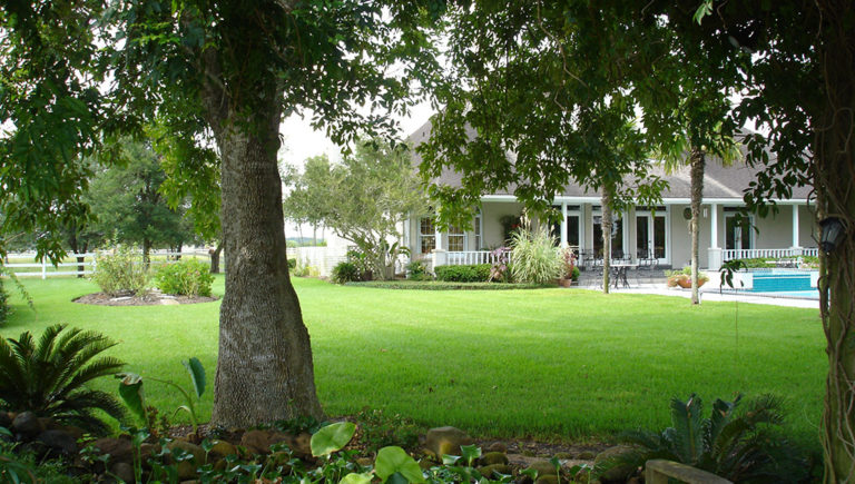 King Ranch Turf Turf Grass & Sod Supplier in Texas & Florida