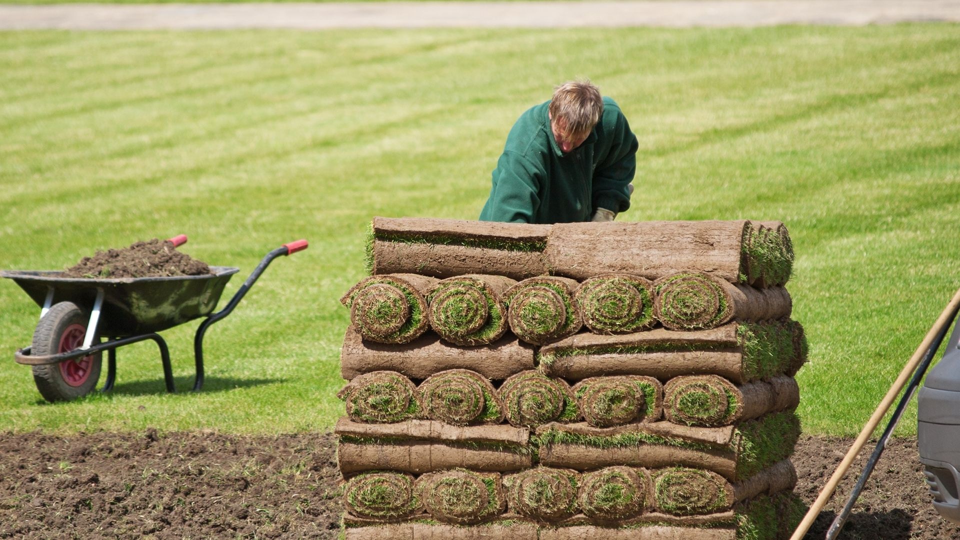 Texas Sod Grass For Sale Near Me - King Ranch Trufgrass